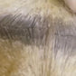 Perruque tresses Africaine