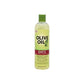Shampoing crème à l'Aloe et Huile d'Olive - ORS - onestylbeauty